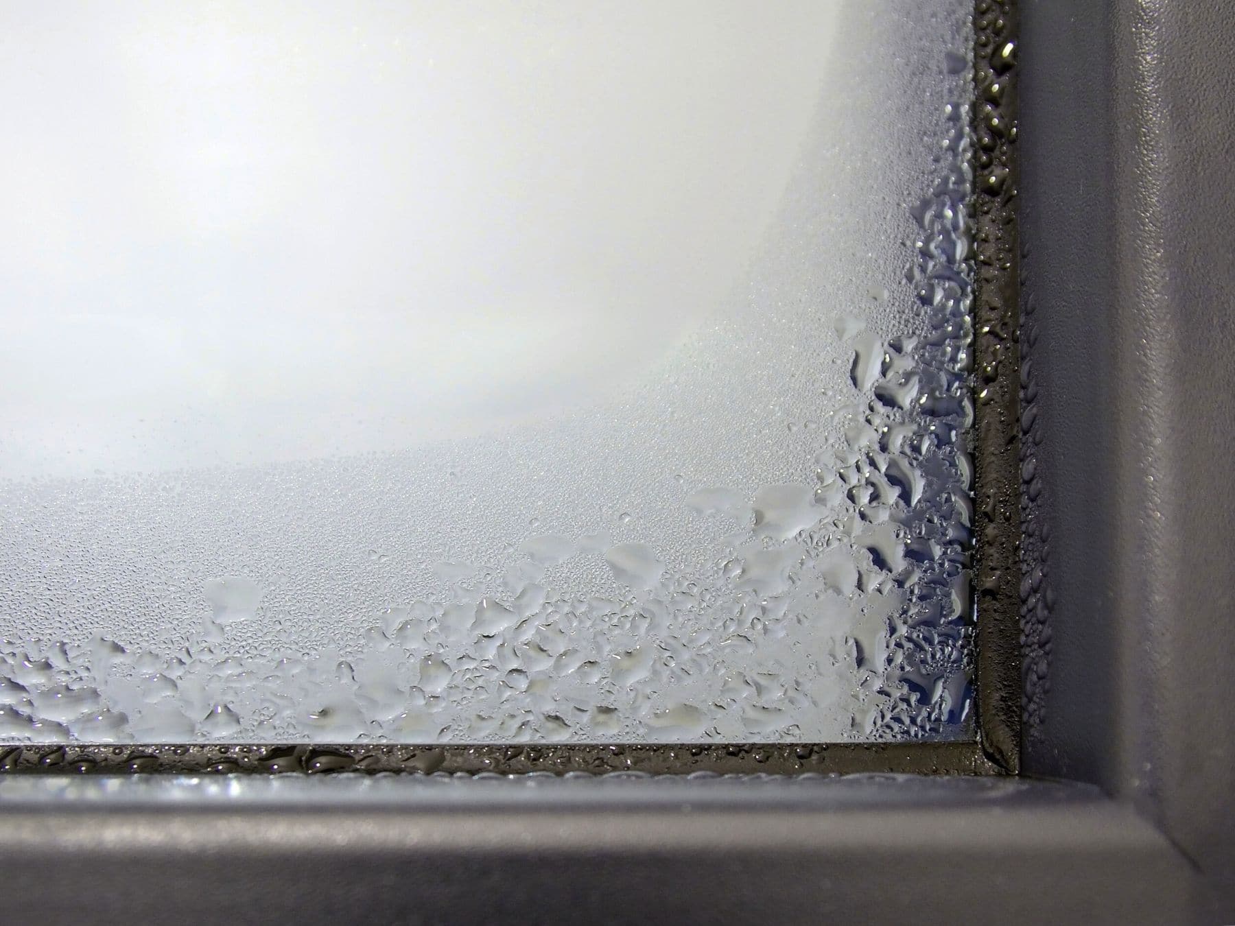 excessive window condensation for window replacement