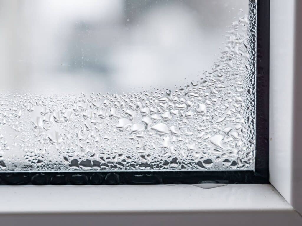 Is Your Window Condensation Normal or Not? Next Door & Window