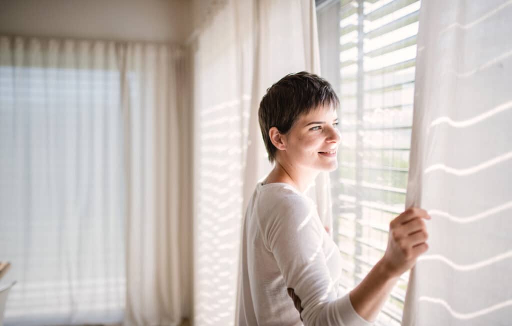 Window with built-in blinds