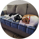 Sue Walker profile picture